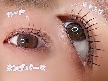 エルア アイラッシュ(elua eyelash)の写真/ひとりひとりのお顔の印象に合わせて似合う目元をご提案★なりたいを叶える＊印象UPの目元へ―♪