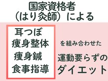 はりきゅう那須院の雰囲気（国家資格者(鍼灸師)が施術する、耳つぼ×痩身術×食事指導）