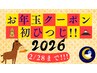 《お年玉クーポン》ヘッドスパ(50分)＋顔HUGマッサージ(15分)【65分】8000