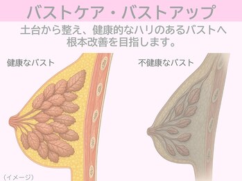 ぷるるんエステ/バストケア/痩身/フェイシャル