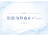 ↓《《 脂肪燃焼剤痩身メニュー 》》↓↓