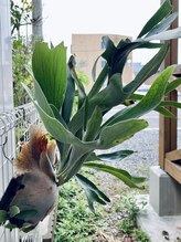 わたなべ整体院/