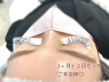 ヴィヴィ(vivi)/LEDの持続力