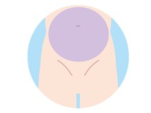 メンズレオ(Men’s Leo)/お腹