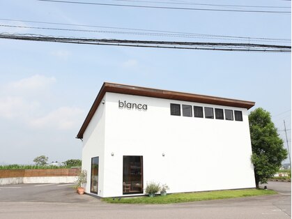 ビアンカ(bianca)の写真