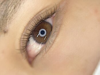 シャルエ アイサロン(Charer)/フラットラッシュ ブラウン