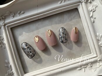 ヴィーナスオブジョー(Venus of jaw)/削らない爪に優しい＊パラジェル