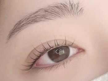 ラ シュープリーム(La SUPREME)/ラッシュリフト Cカールデザイン