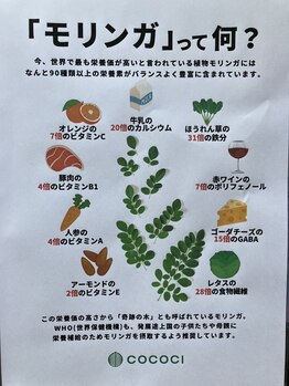 ソワン(Soin)/◇モリンガって栄養素！