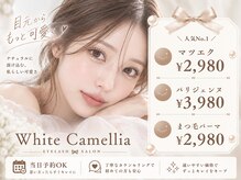 ホワイトカメリア 上本町店(White Camellia)