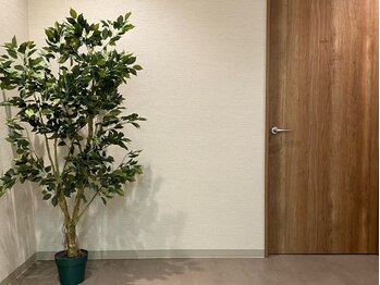 シーズ ラボ 名古屋駅前店/廊下