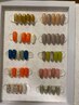 【シンプル～トレンド◎】オフィスネイルに♪定額シンプルコース¥5500