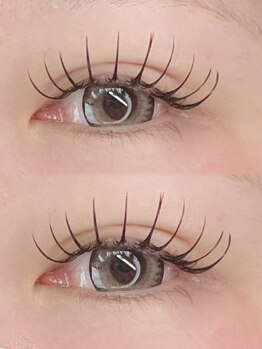 ハウオリ(Hau'oli)/フラットラッシュ140本