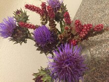 ネイルサロン ニシムラ(nail salon nishimura)/アーティチョーク