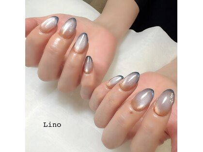 リーノ(Lino)の写真