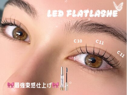 テンプルム 恵比寿(templem)の写真