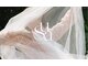 スアスキンサロン(sua skin salon)の写真