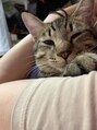 クィーンダム(Queendom) かわいくてしょうがないウチのタカオ君