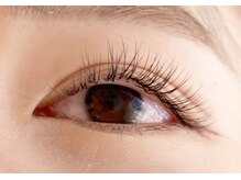 シマー(shimmer)/フラットラッシュ120本