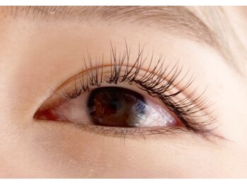 シマー(shimmer)/フラットラッシュ120本