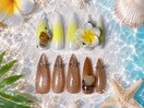 太陽の花|ハイビスカス★