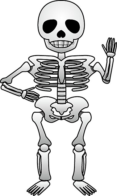 BK（ 美療骨格矯正 ）