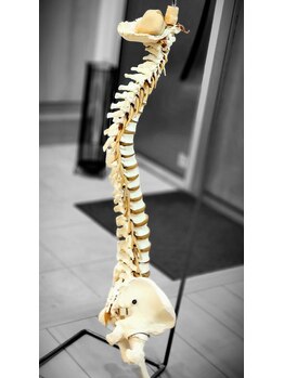 沼口カイロプラクティックオフィス/あなたの背骨は正しい位置？