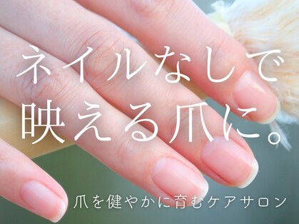 セル(Cell)の写真