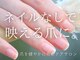 セル(Cell)の写真