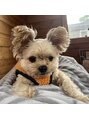 ラダシア 前橋けやき店&nbsp;抱っこ大好き甘えん坊の男の子♪昔から動物が大好きです