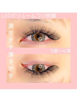 ティーイー(TE)/LEDボリュームラッシュつけ放題