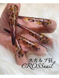 豹柄2枚マックス