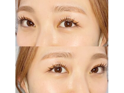 エミュアイラッシュ(emu eyelash)の写真