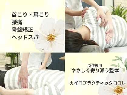 ココレの写真