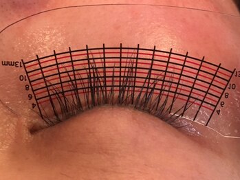 ボニータ(Bonita)/ラッシュアディクト