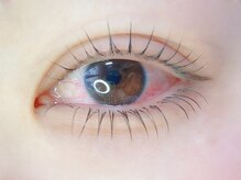 デジール/パーマ上下