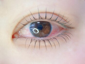 デジール/パーマ上下