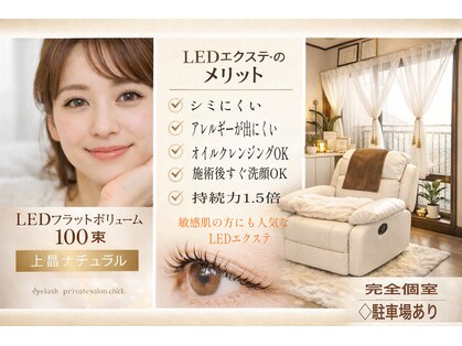 チック(chick)の写真