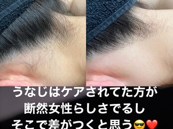 エルアンドエル(L&L)/