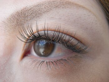 メイクプラスネイル ヴィヴィッド(MAKE+NAIL vivid)/◆まつ毛エクステ◆