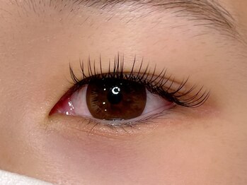 シル シェノン(cil shenon)/フラットラッシュ100本