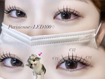 アイブロウ アンド アイラッシュ アイランド(ISLAND)/パリエクLED100本