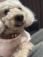シエル(Ciel)&nbsp;実家のわんちゃん＾＾溺愛してます（笑）