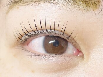eyelash salon f deux アイラッシュ専門店 【エフ ドゥ】【4/1OPEN(予定)】/まつ毛パーマ