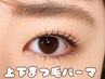 【Jrスタッフ限定】5/20まで☆上下まつ毛パーマ￥3980