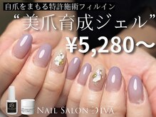 ネイルサロンディーバ 表参道店(Diva)