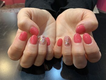 ボディ 高知店(BODY)/シェル