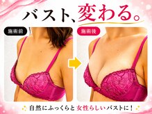 フェリス(Feliz)