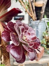 わたなべ整体院/