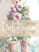 デルフィニウム(Delphinium)&nbsp;岡本 友恵